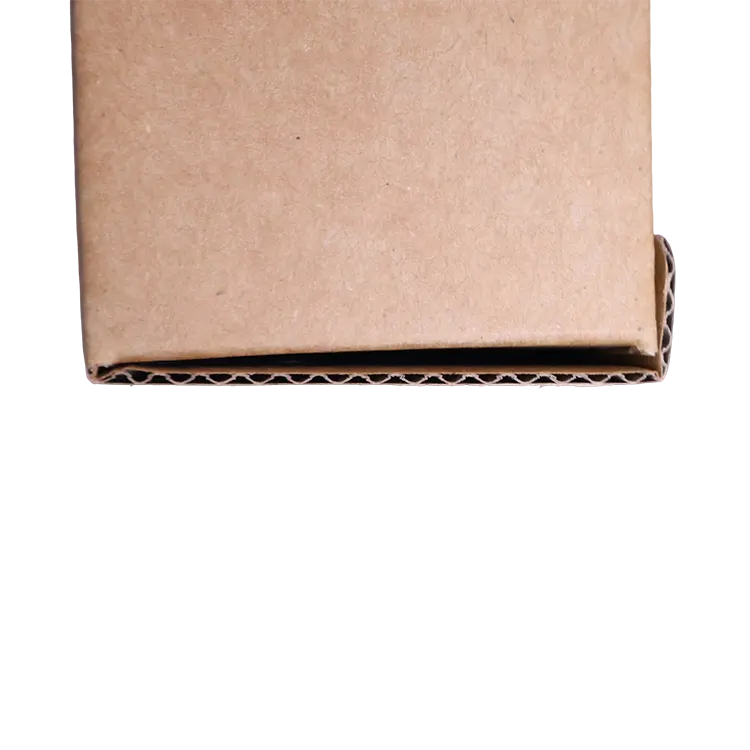 Corrugated Hand-carry Boxes